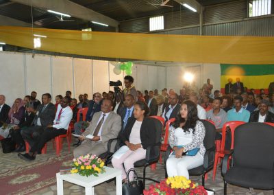 ICAS Ethiopia - Ethio-Transport and Logistics Exhibition (2)